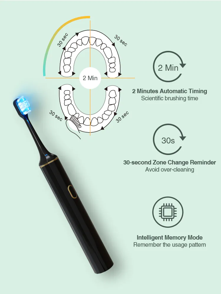 GlorySmile battery operated toothbrush Supply for teeth